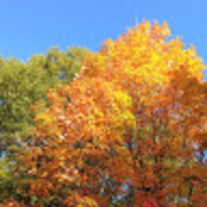 Meet your Posher, Jane